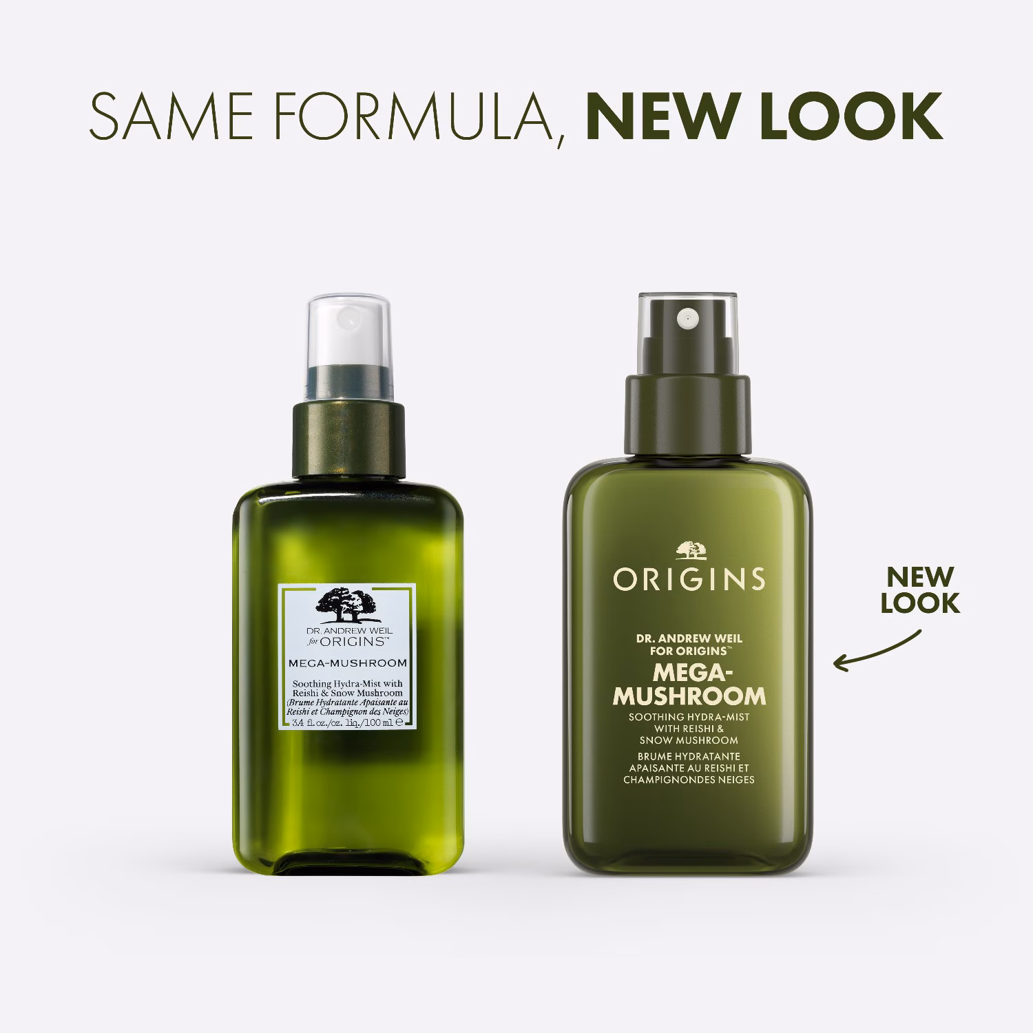 Mega-Mushroom Soothing Hydra-Mist with Reishi and Snow Mushroom