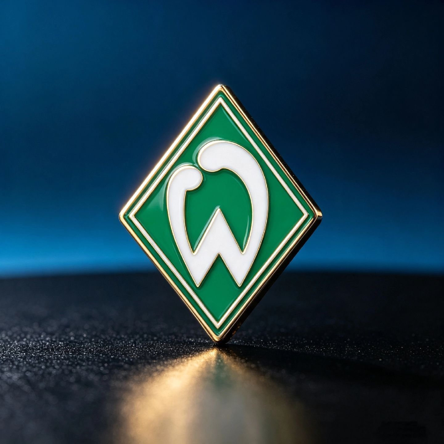 Werder Bremen FC