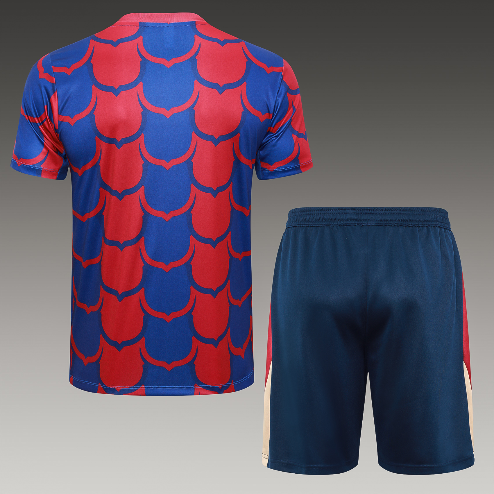 2024/2025 Barcelona red and blue adult short-sleeved training suit (adult kit)