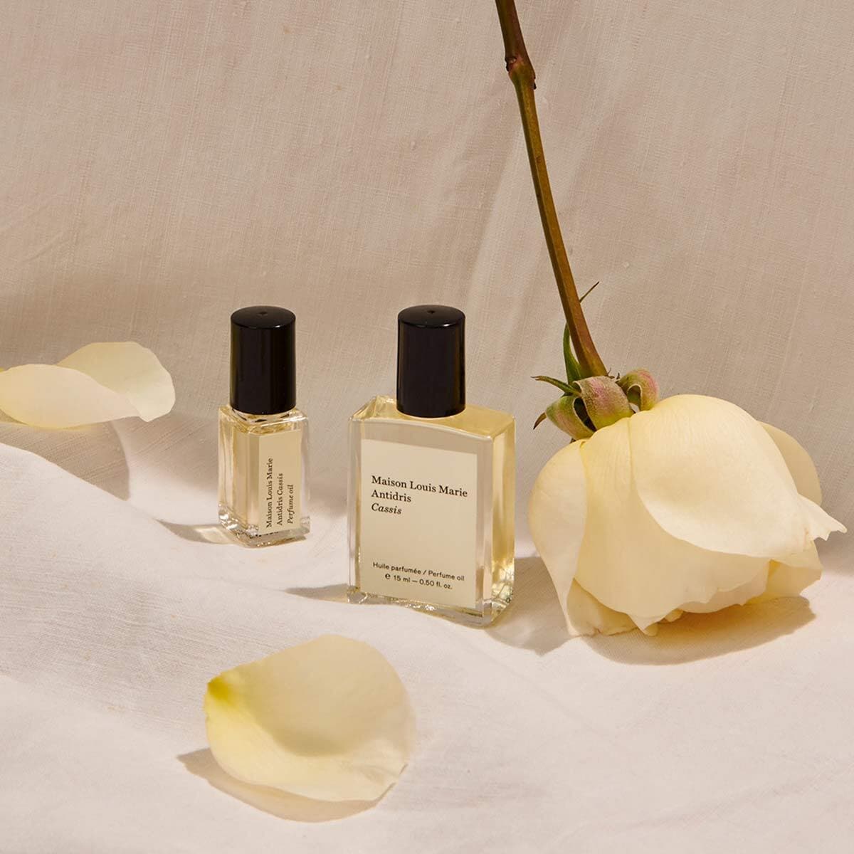 Antidris Cassis Perfume Oil