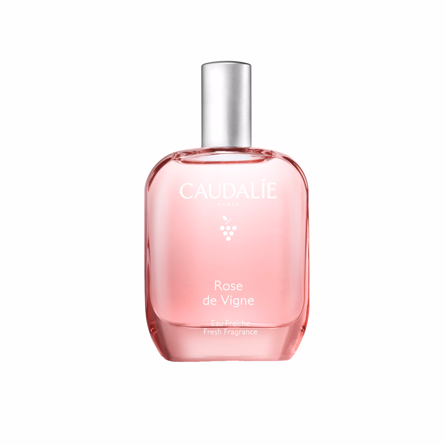 ROSE DE VIGNE