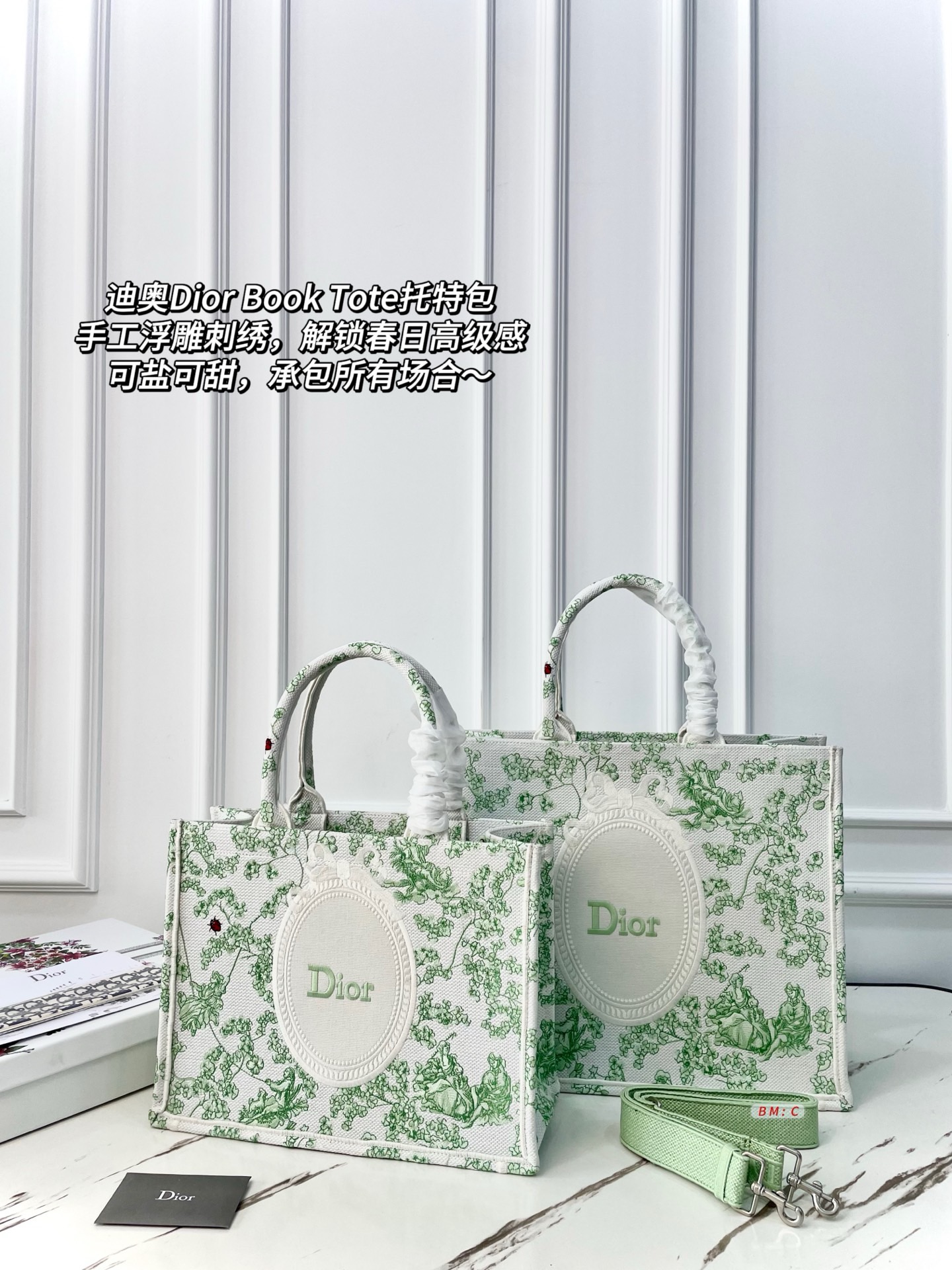 Dior Book Tote Bag