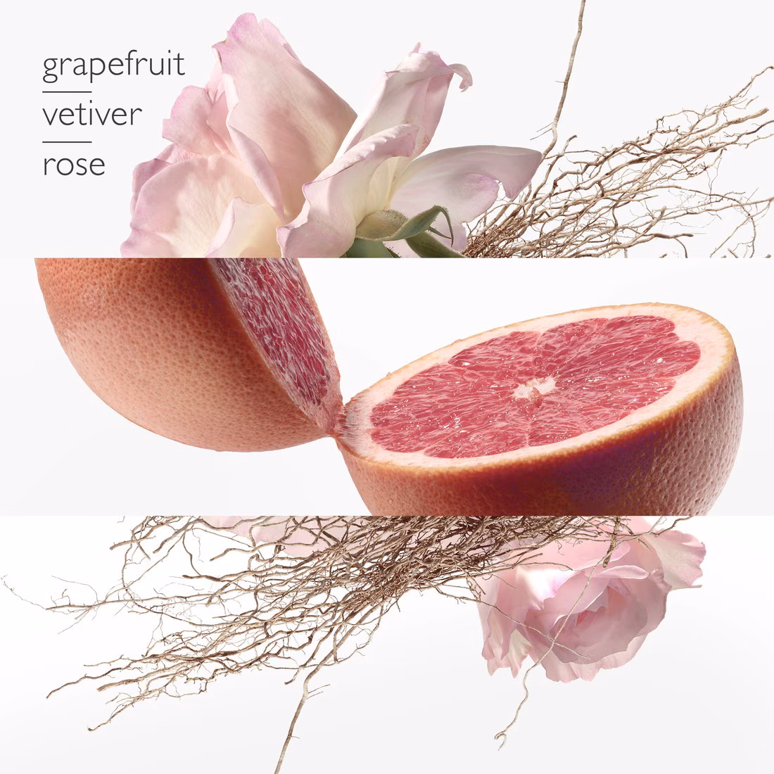 Concentré de pamplemousse rose