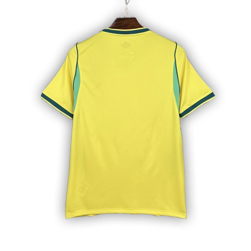 Brazil 2026 World Cup Home