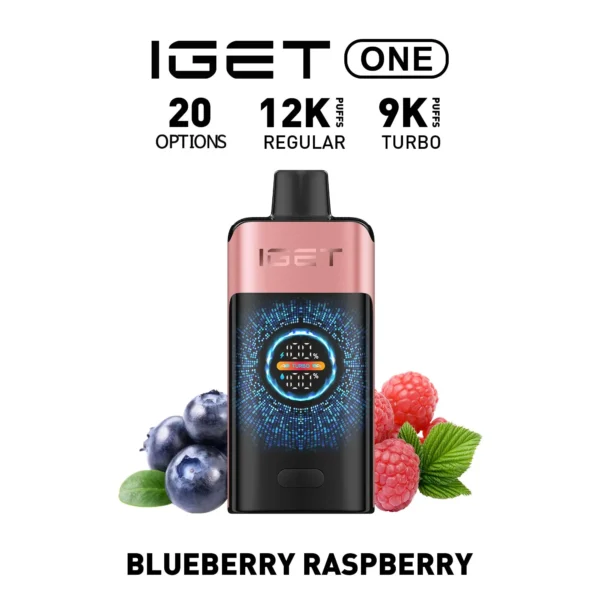 IGET ONE Vape 12000 Puffs Blueberry Raspberry