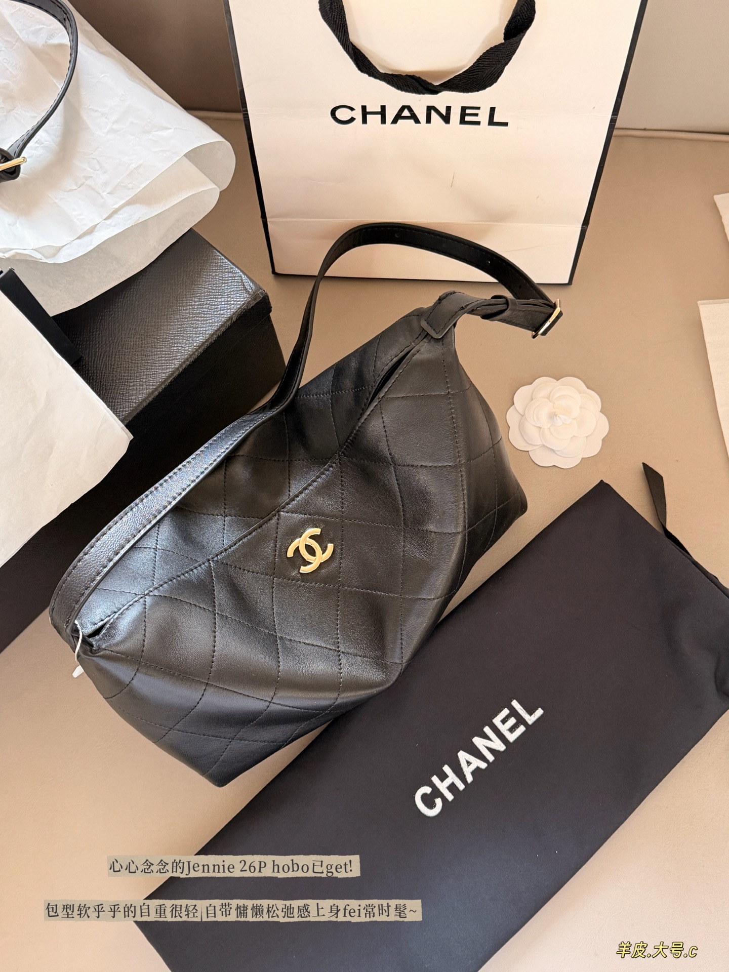 Chanel Hobo Bag