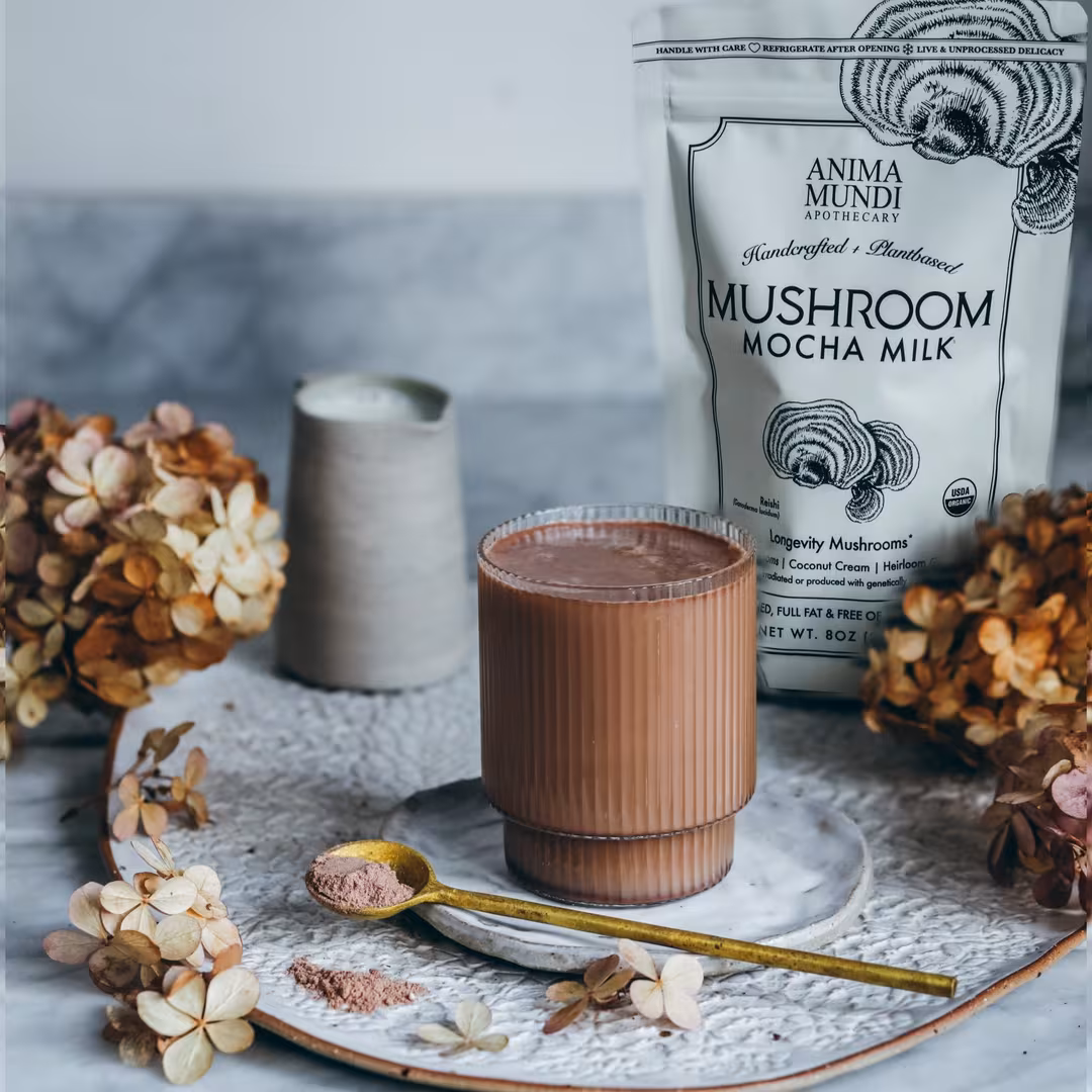 Anima Mundi  Mushroom Mocha Milk Organic Longevity Milk