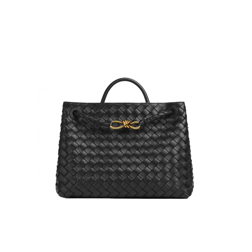 Bottega Veneta BV Medium Andiamo Bag