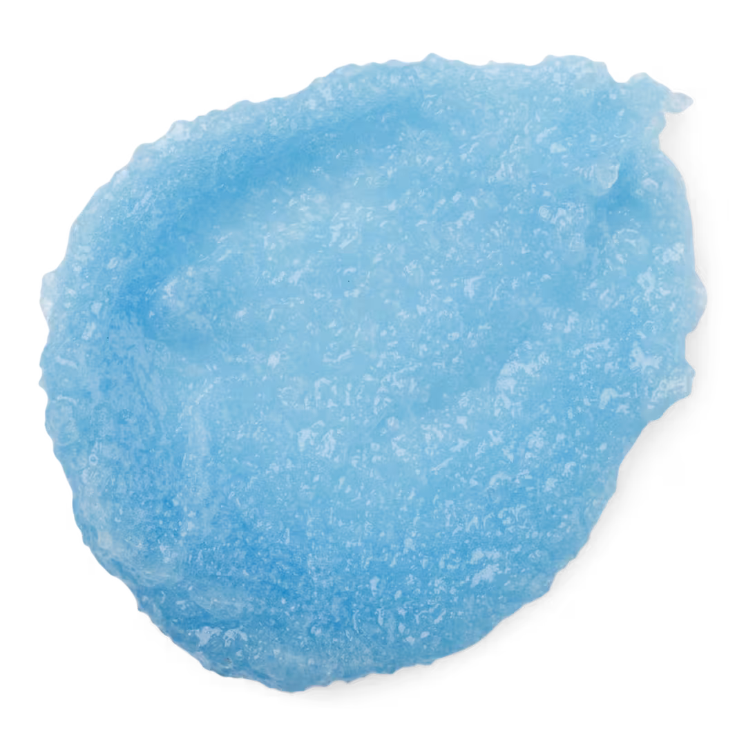 LUSH  Rub Rub Rub Body Scrub