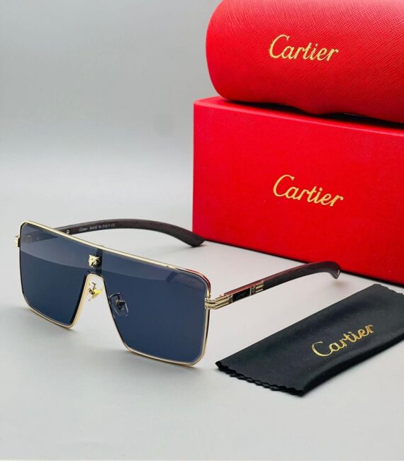 Cartier sunglasses 31