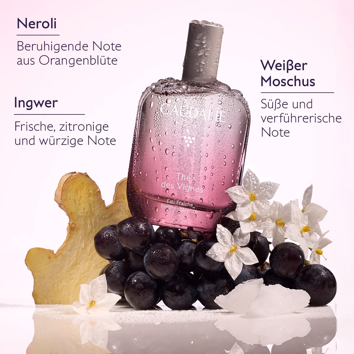 THÉ DES VIGNES