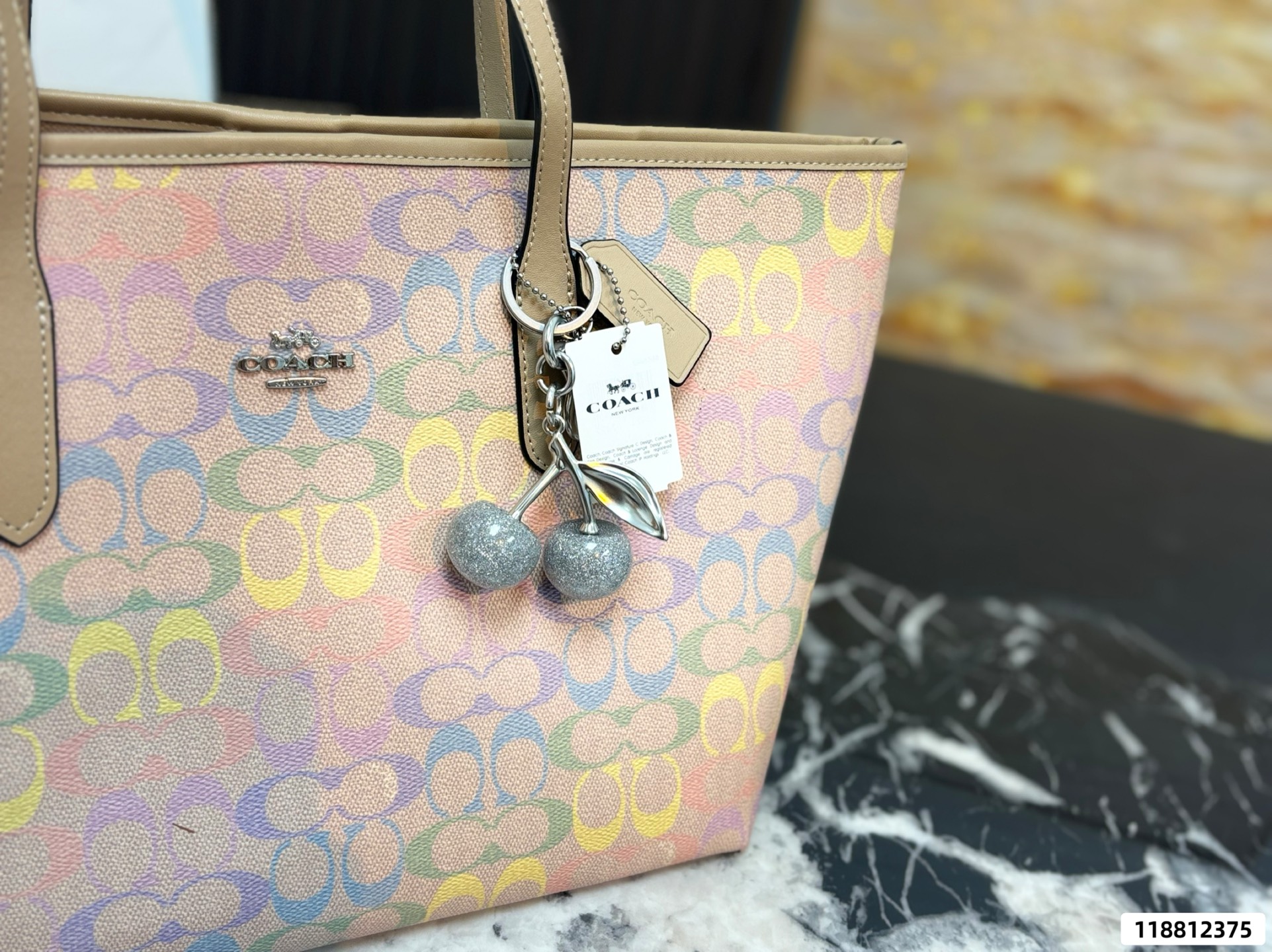 Coach Rainbow Tote Bag