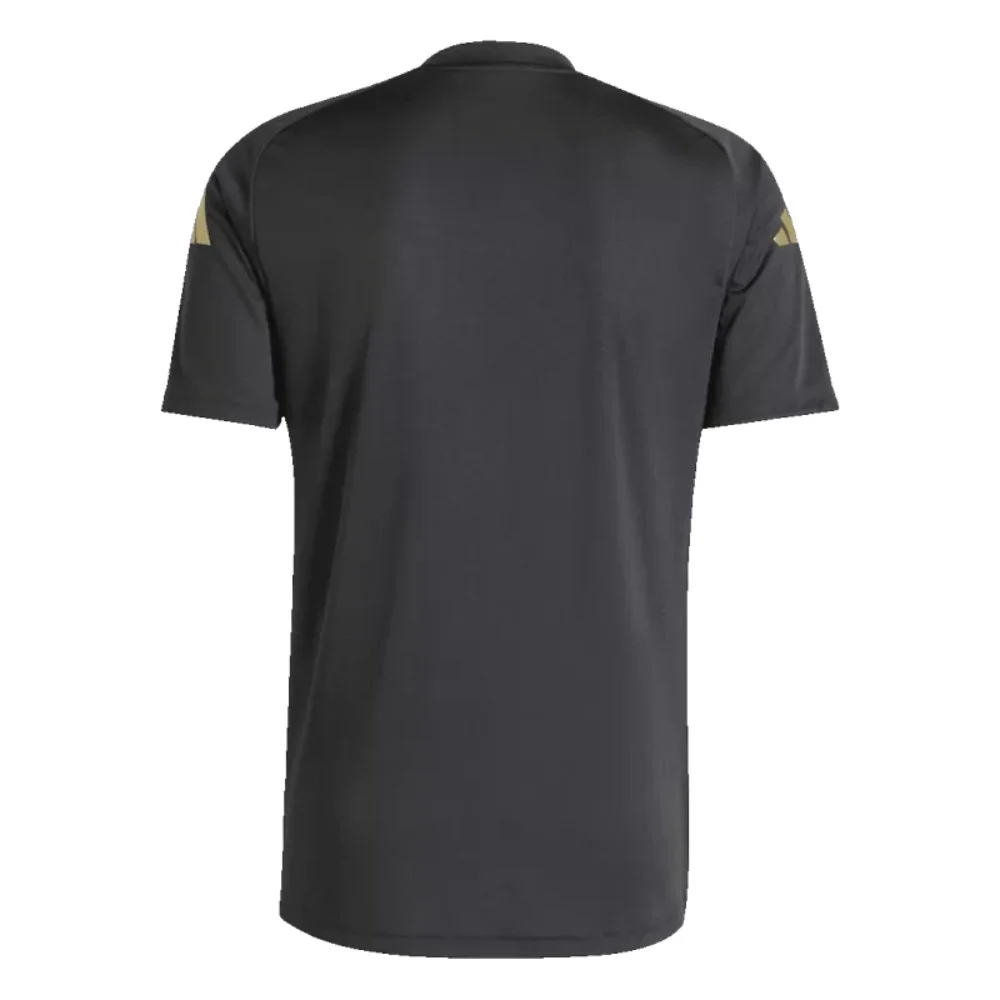 Argentina Pre-Match Soccer Jersey Copa America 2024