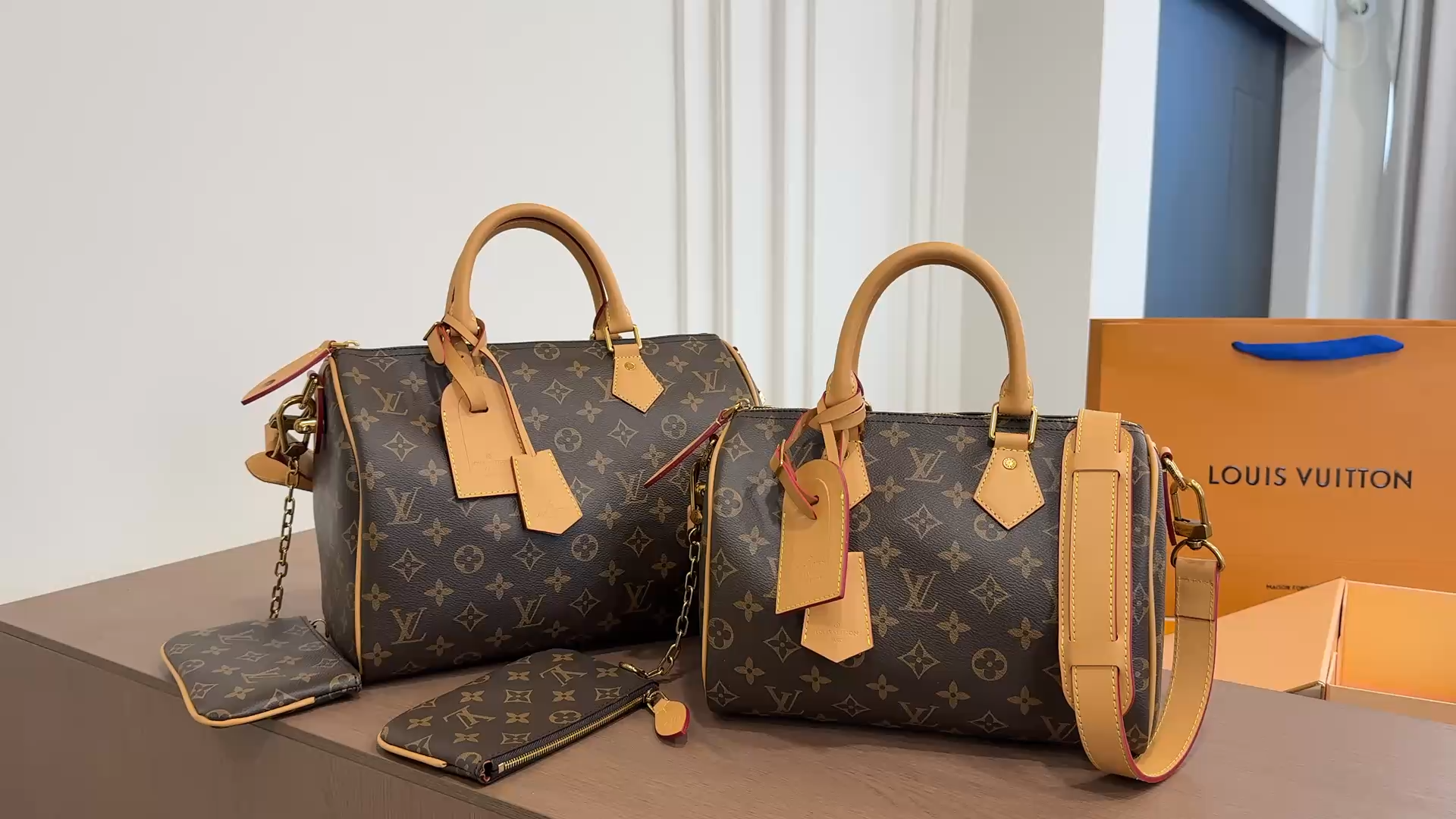 LV Speedy P69 Pillow Bag