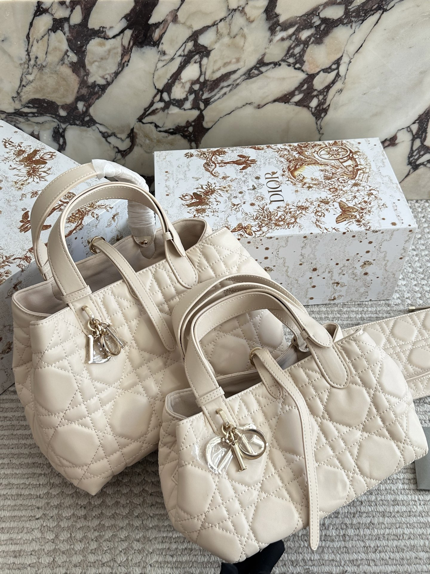 Dior Toujours tote bag