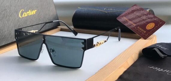 Cartier sunglasses 10
