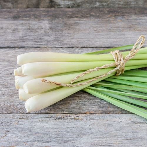 Lemongrass – Fresh Asian aroma for curries, teas & soups