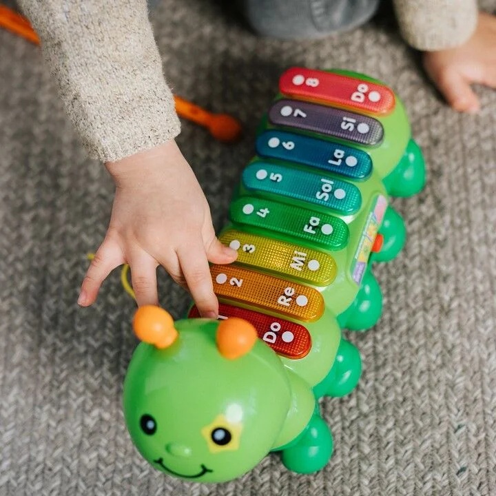 Koncertowa Gąsieniczka