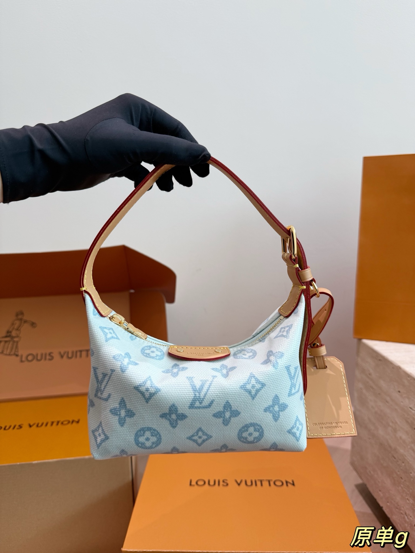 LV Pochette Hills Other Monogram Bag