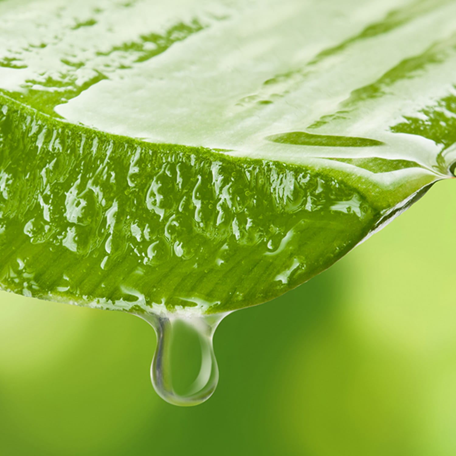 Beruhigendes Aloe Vera-Gel