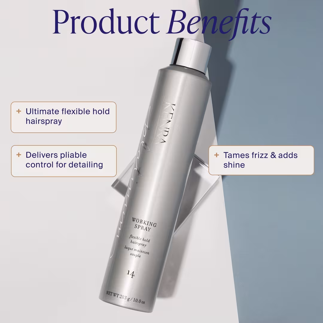 Kenra Professional  Platinum Working Spray 14