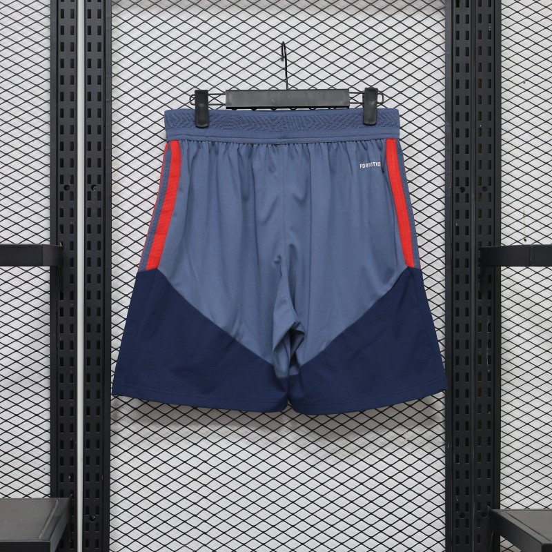 2026/2027 Bayern Munich Grey Shorts (Player Edition)