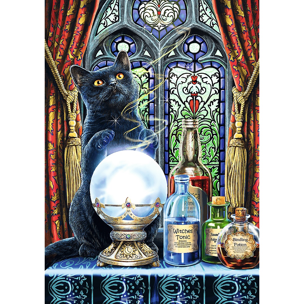 Puzzle Premium Plus Quality 1000 El. Magic Collection: Uczeń Czarownicy