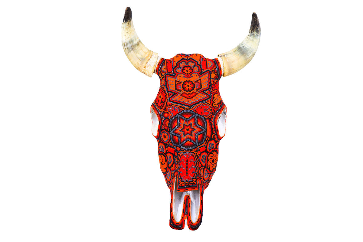 Cráneo de Vaca - Obra de Arte Huichol