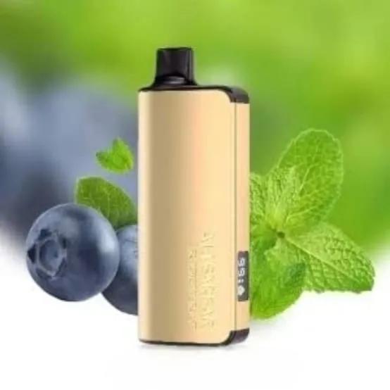 ALIBARBAR INGOT 900O Puffs - Blueberry Mint