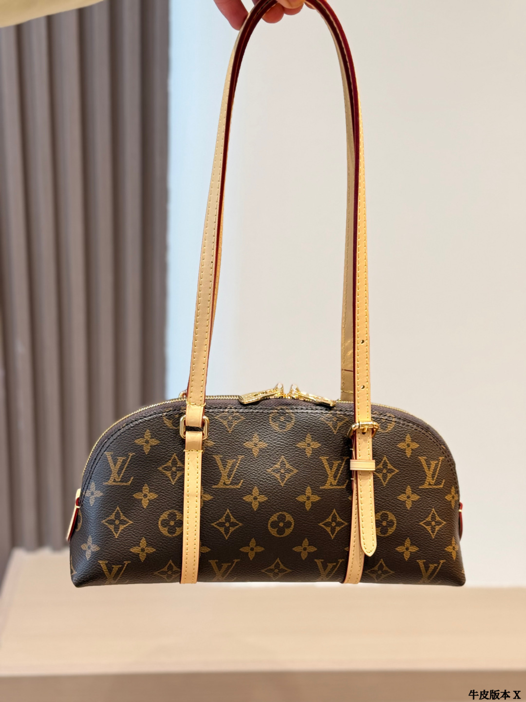 LV Squire East West Monogram Bag