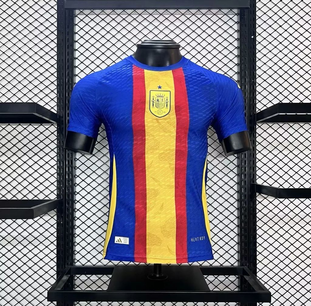 pain 2024-25 Euro Pre-match training uniform Jersey Player Version