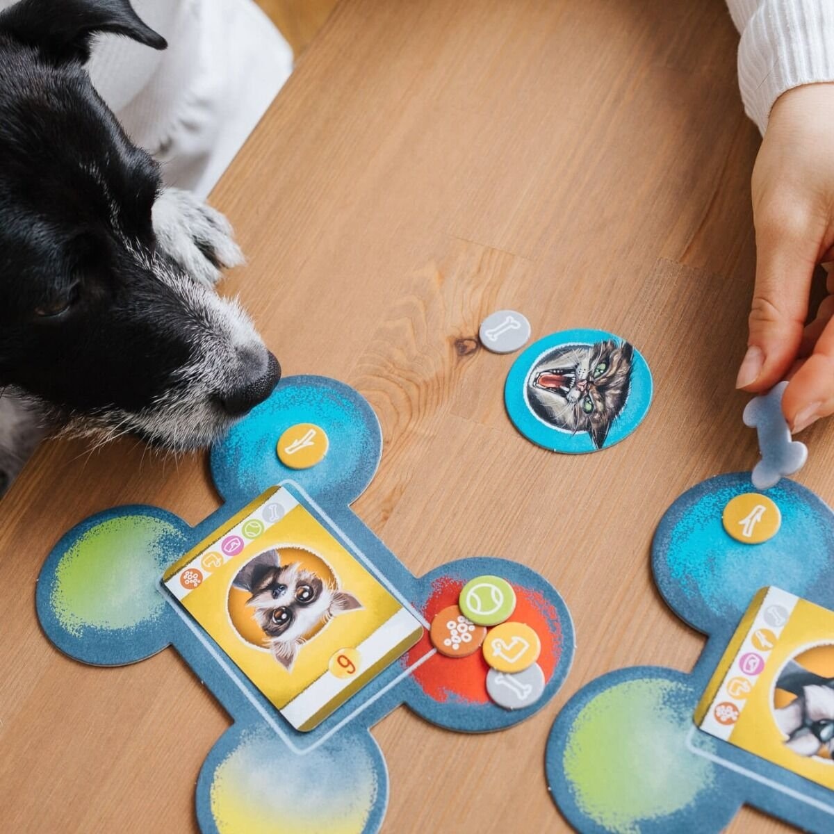 Gra Rodzinna Good Boy