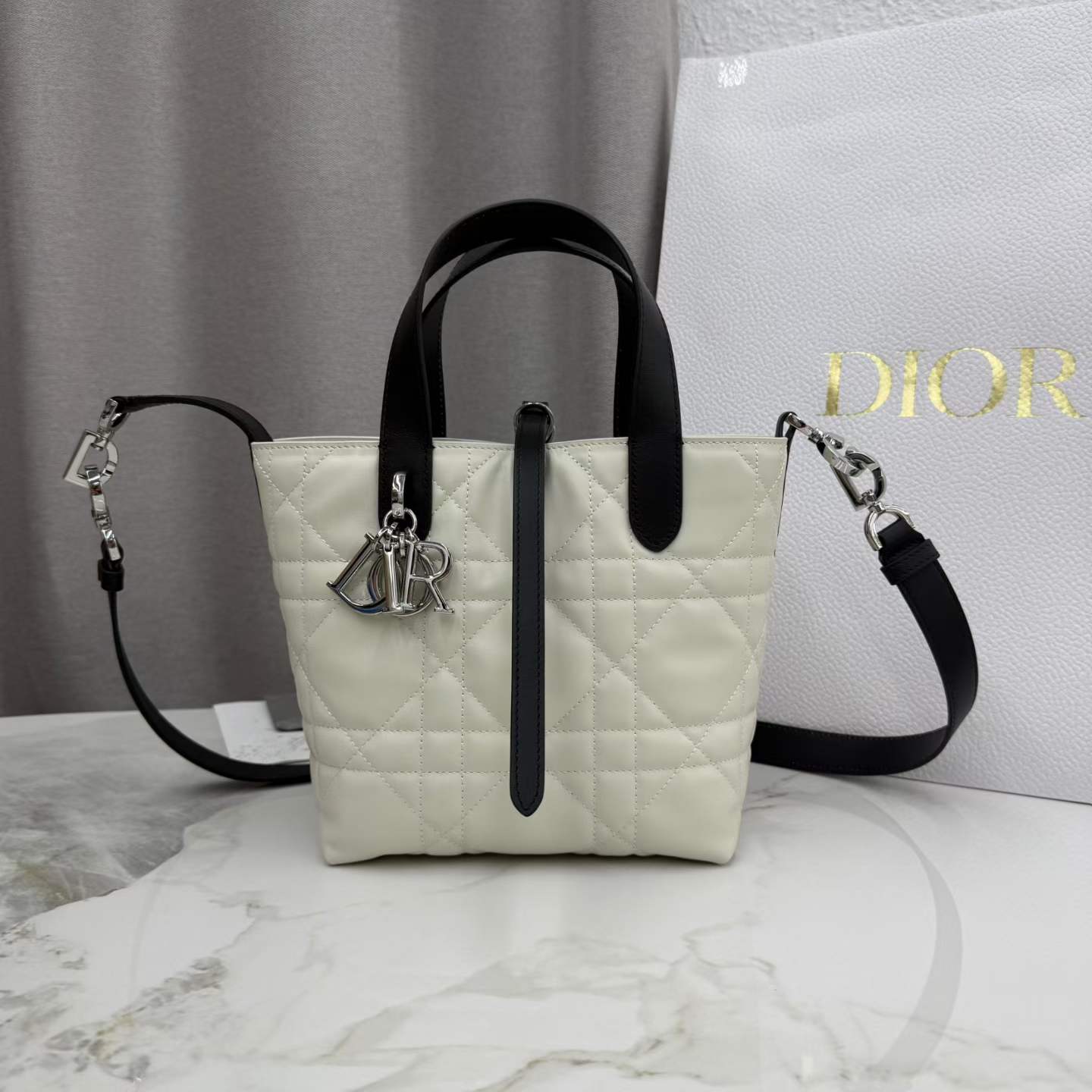 Dior Toujours vertical handbag
