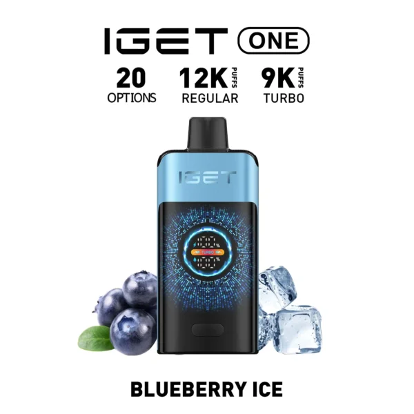 IGET ONE Vape 12000 Puffs Blueberry Ice