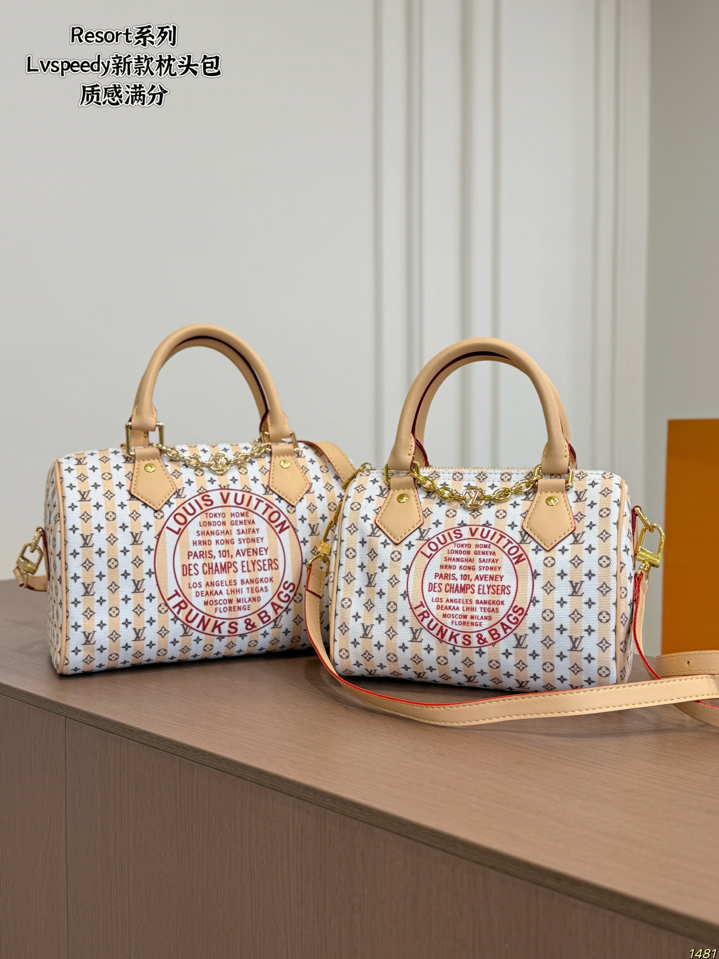 Lv Speedy Pillow Case