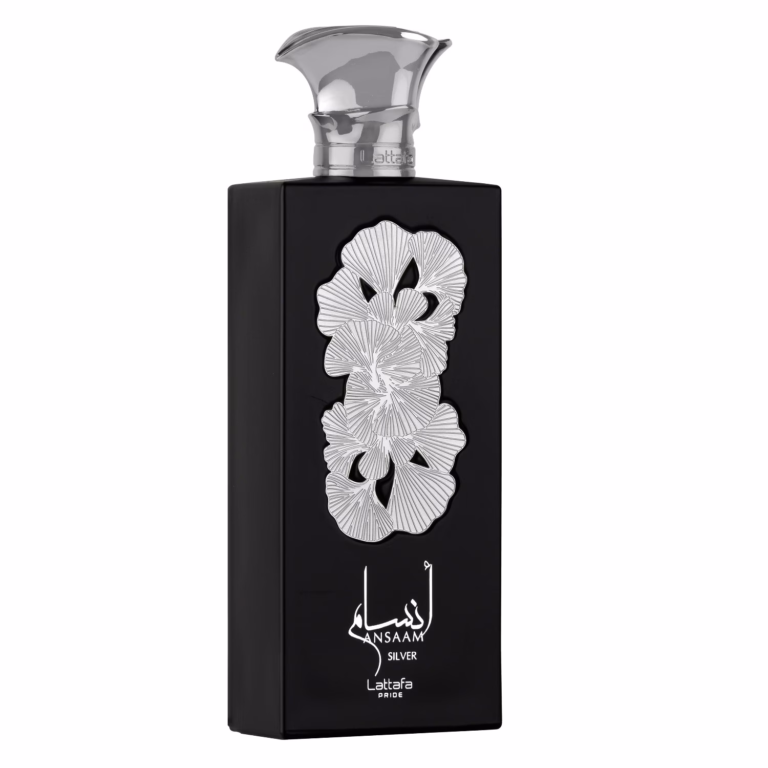 ANSAAM SILVER