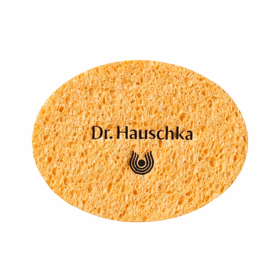 Sponge