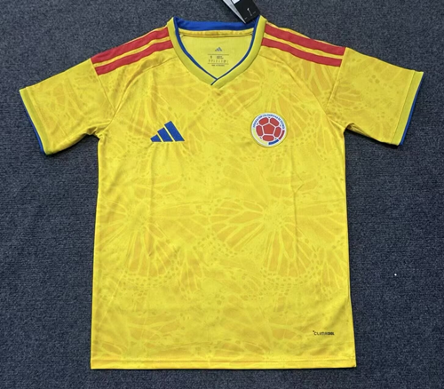 Fan version 2026 Colombia Home