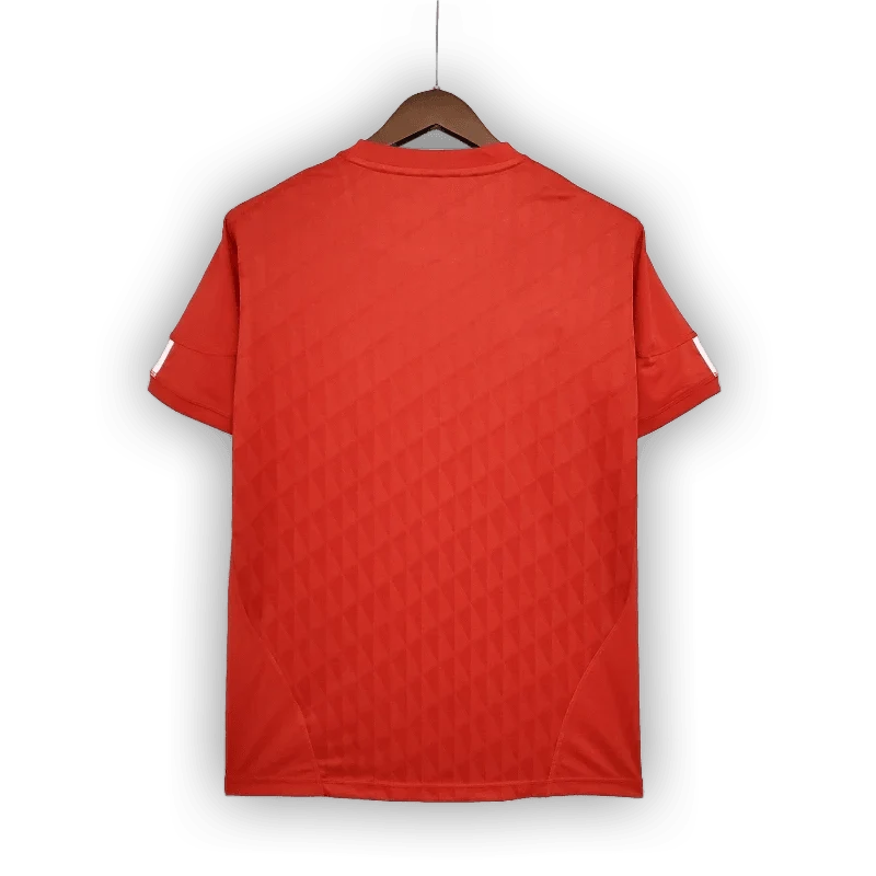 Liverpool 2010/11 Home