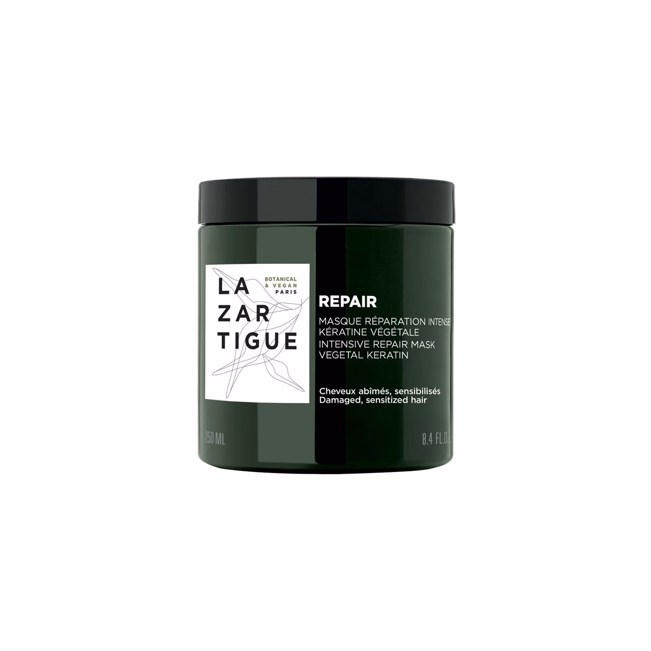 REPAIR - Mask