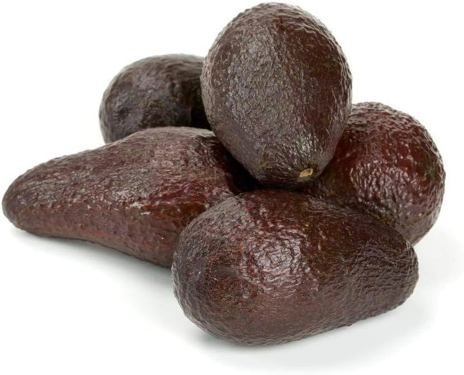 Avocado Tree - Live Tree in a 3 Gallon Pot - Grower's Choice Based on Season and Availability - Fruit Tree for Patio and Garden
