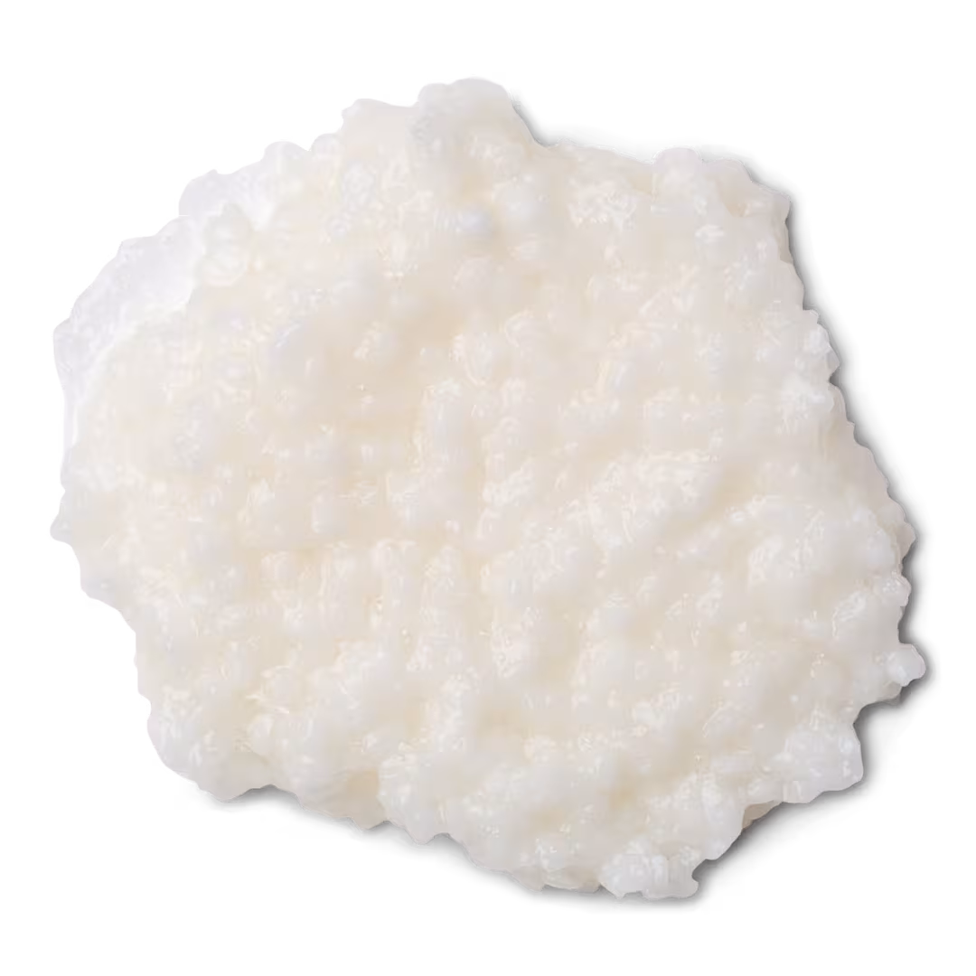 LUSH  Big Shampoo