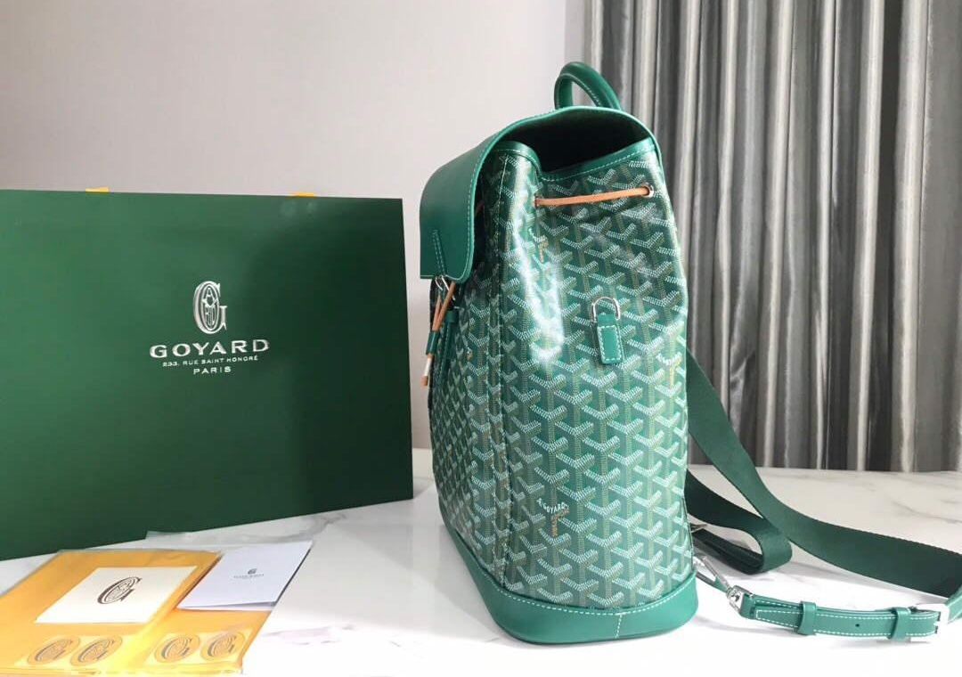 Replica Goyard ALPIN2MMLTY Alpin MM Backpack Green