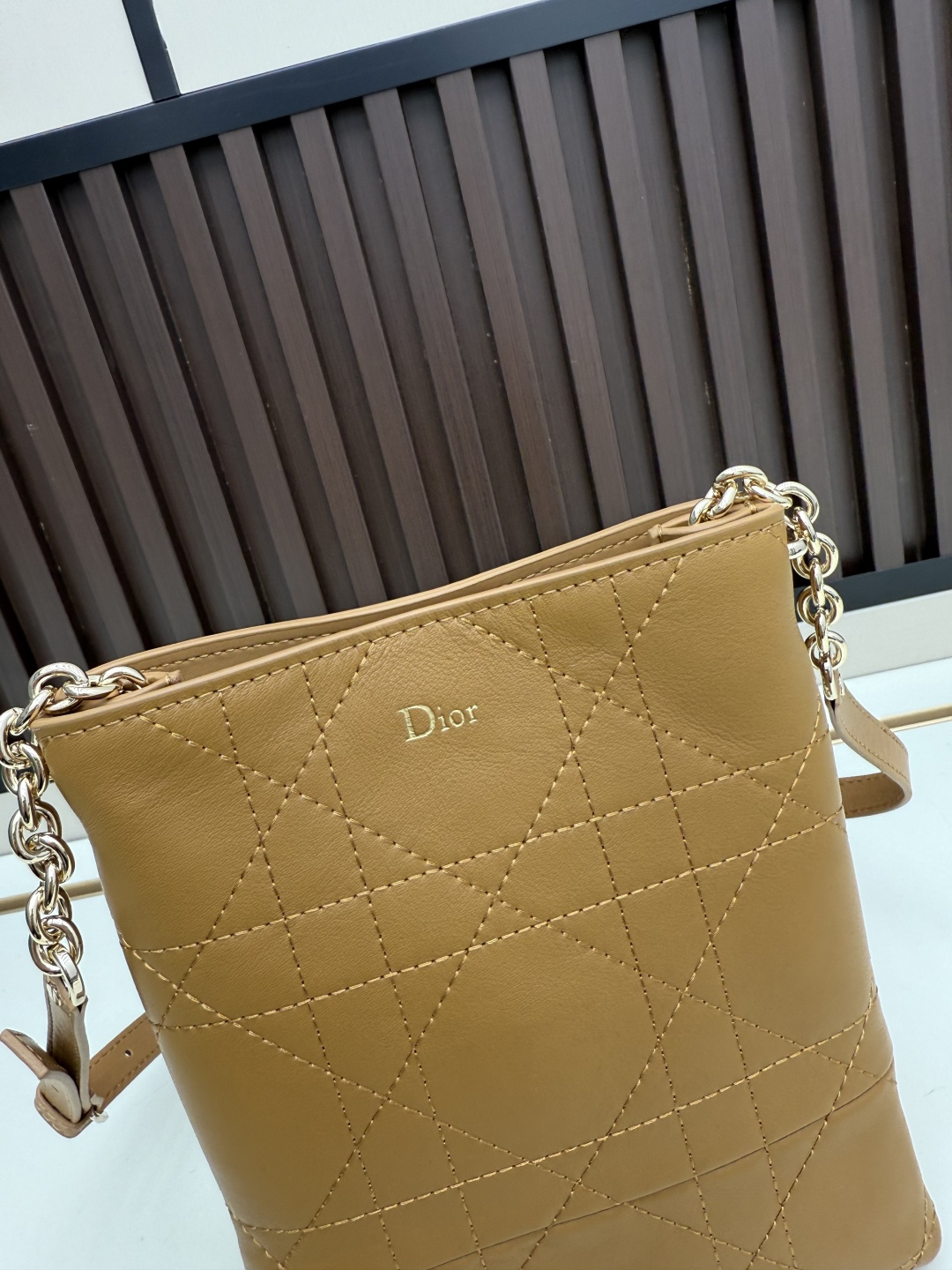 Dior Trianon Bag