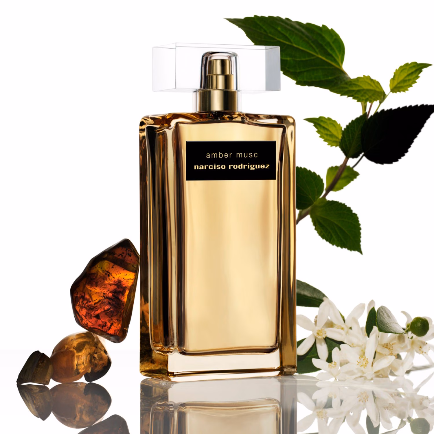 Amber Musc Intense