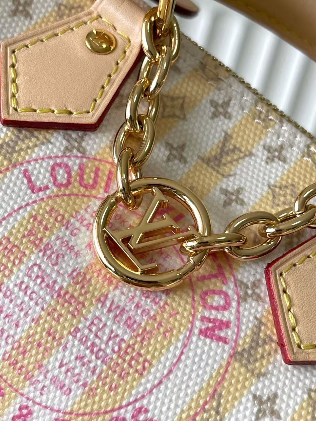 LV Mini Pillow Bag