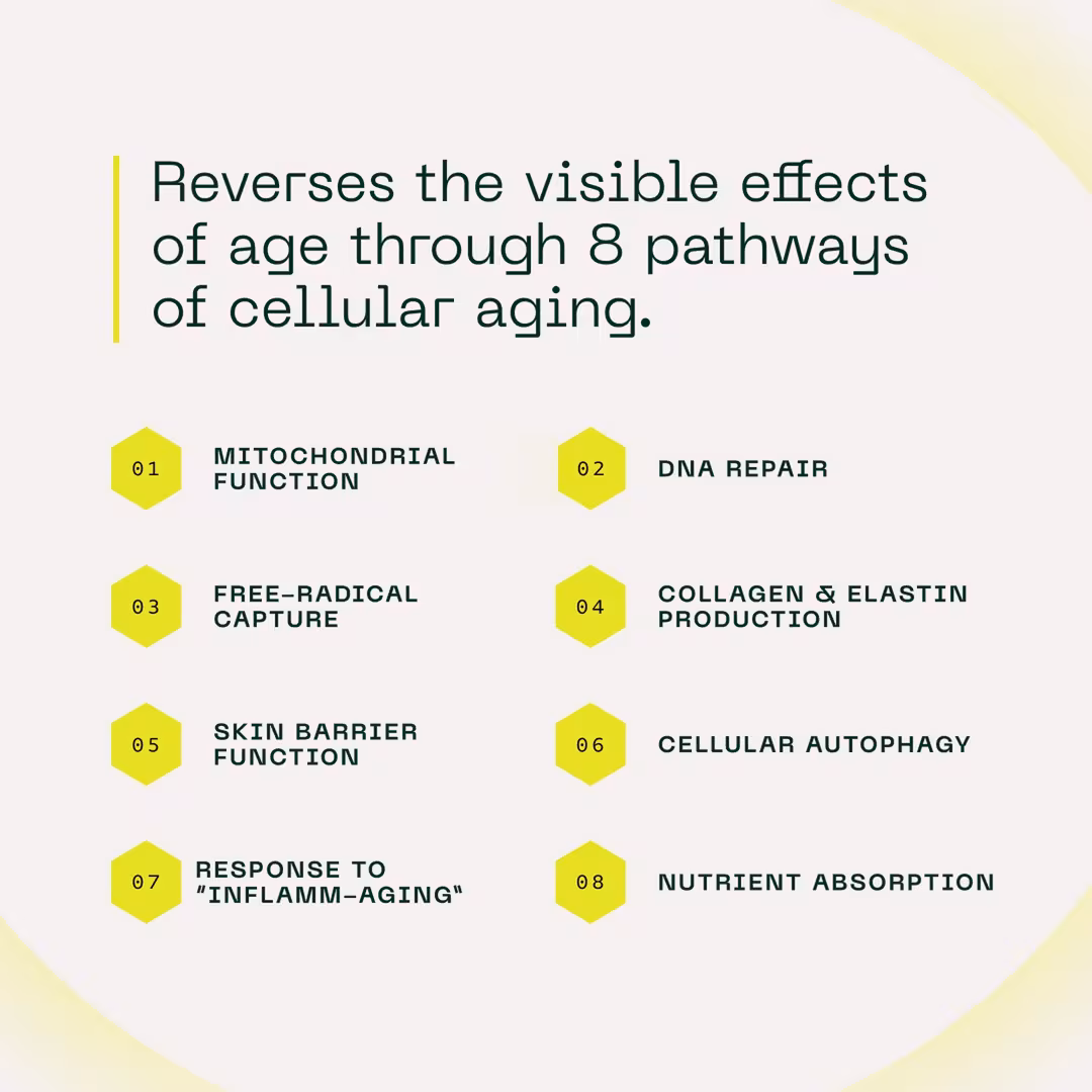 Aramore  NAD+ Cell Energizing Supplement