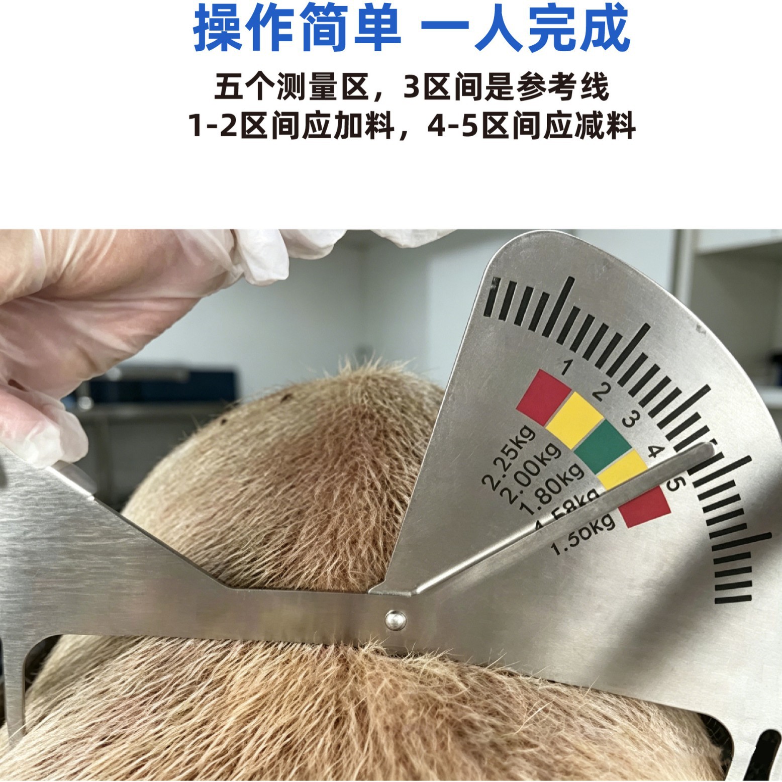 Etched stainless steel sow feeding caliper, customizable with logo, high-precision metal caliper