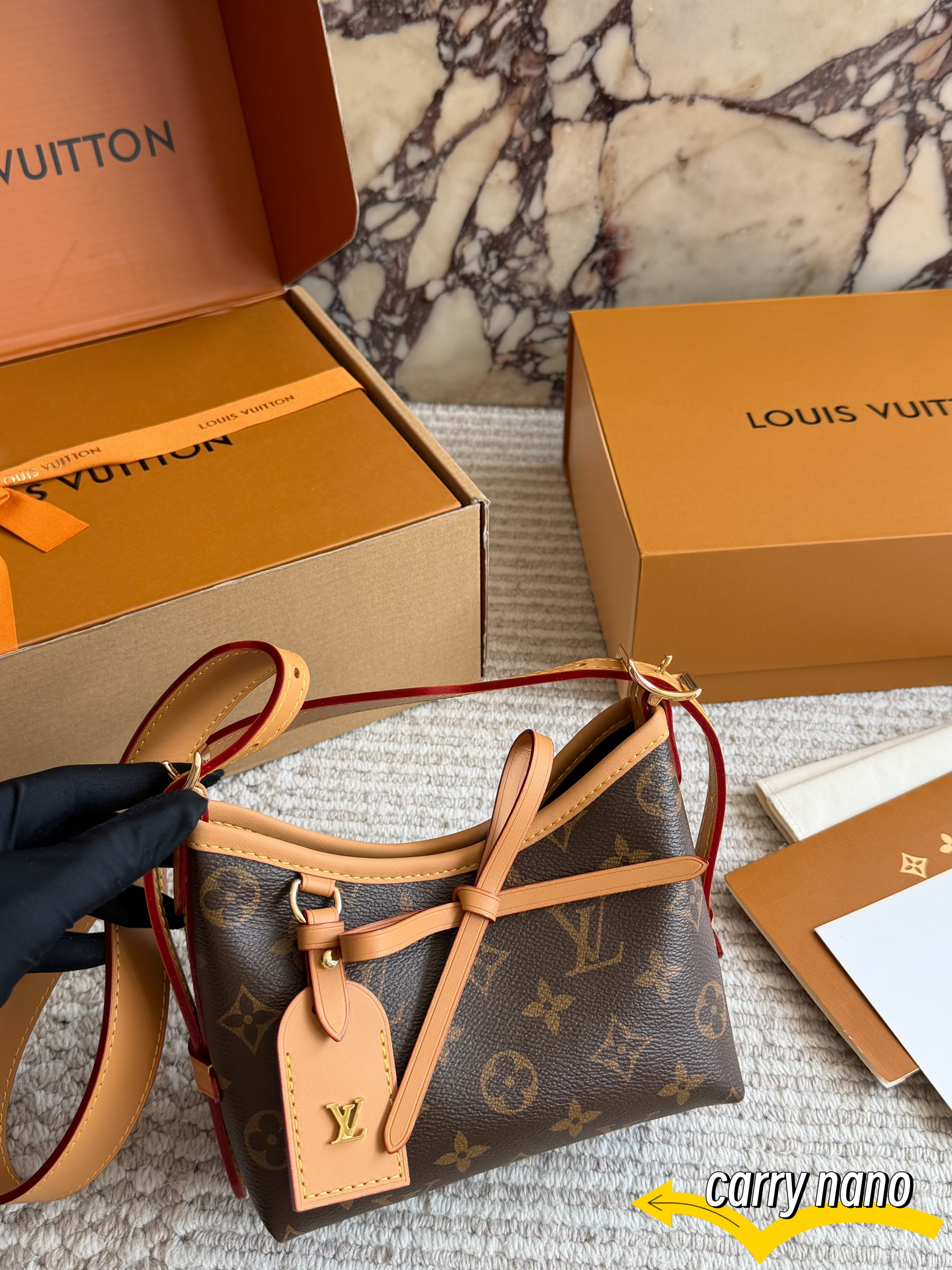 LV Carry Nano Bag