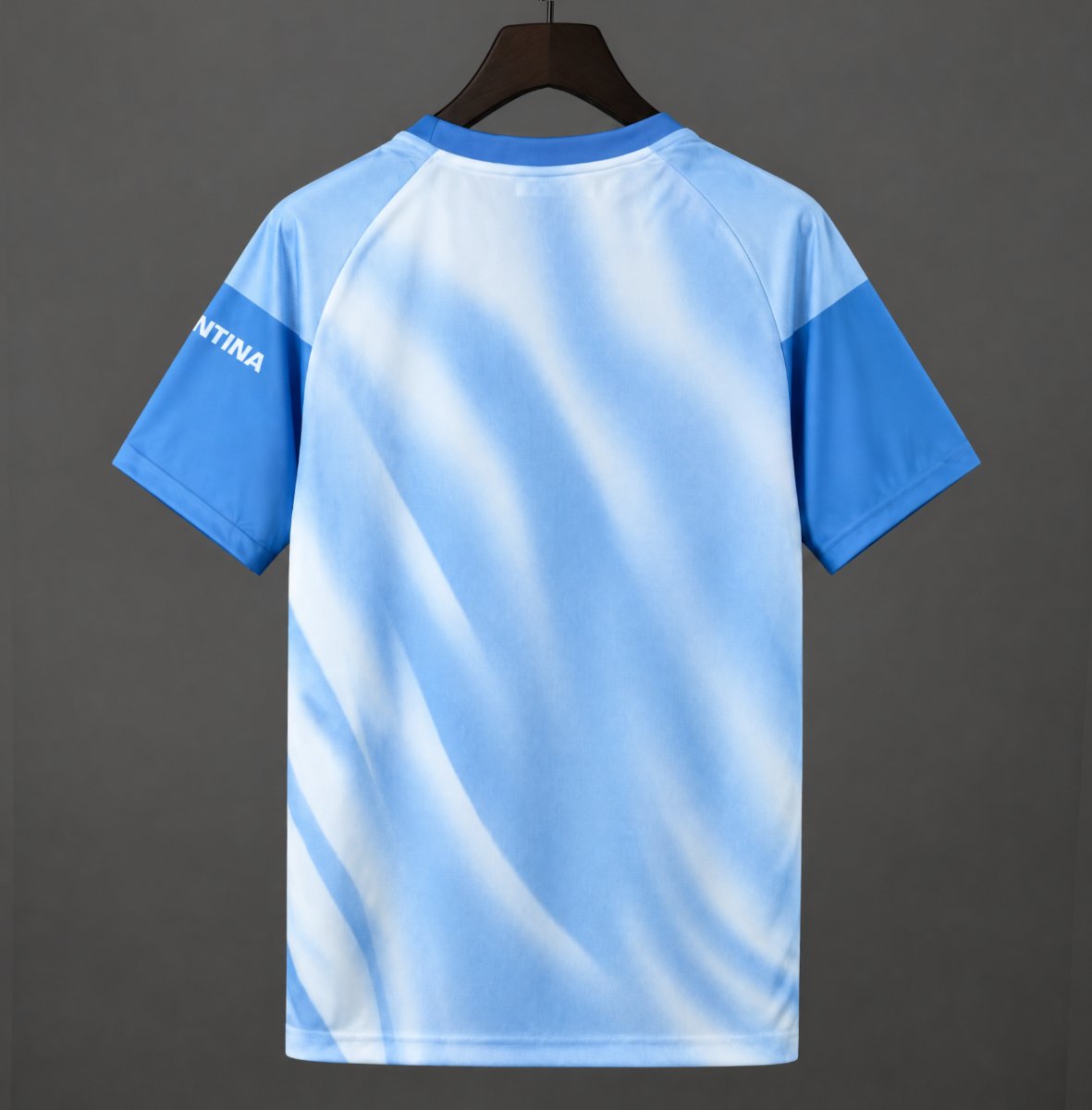 2026 2027 Argentina Pre-Match Light Blue Messi Football Shirt (Fan Edition)